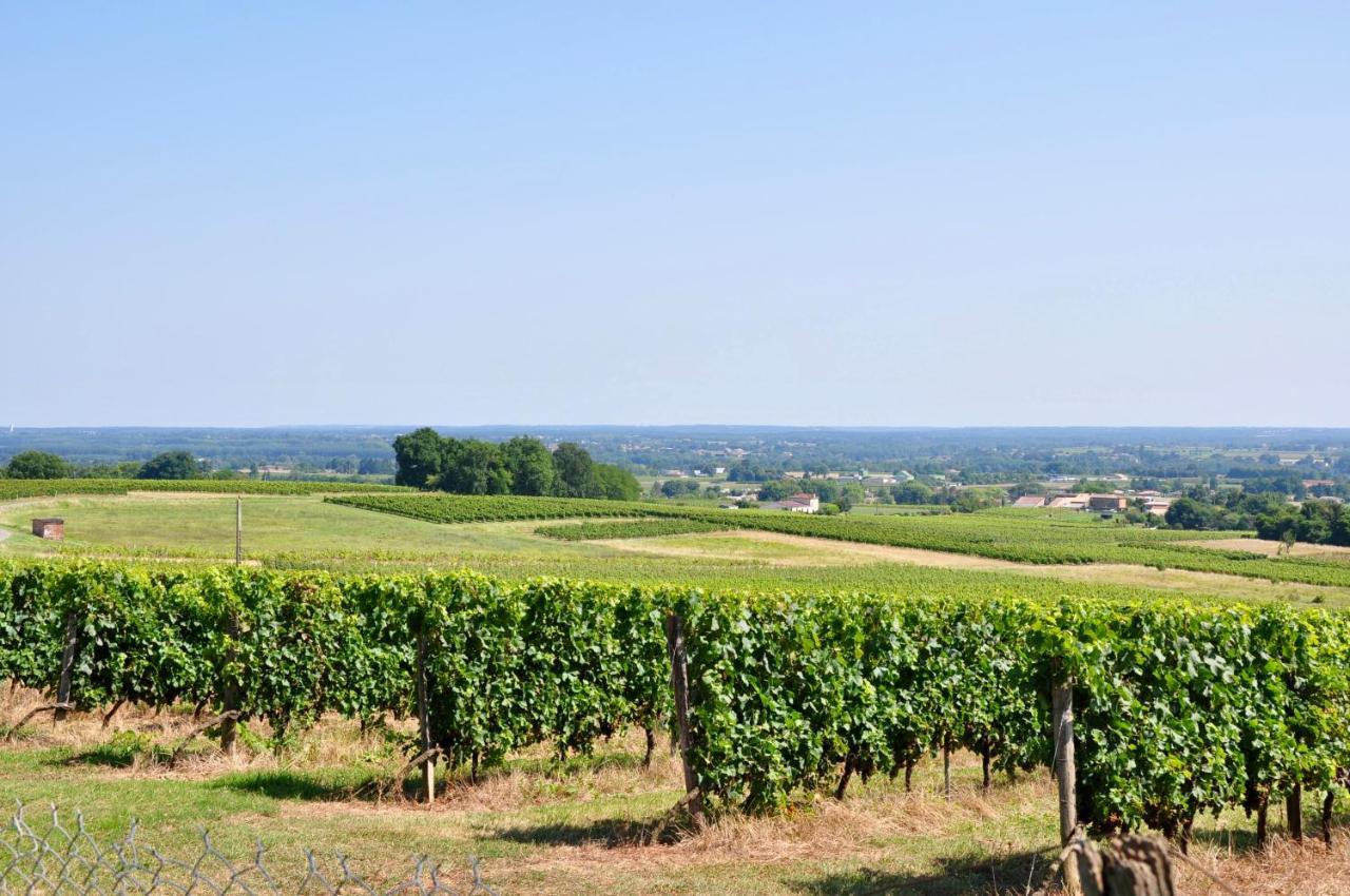 Clos Saint Sauveur - Guesthouse Au Coeur Des Vignes Sur Le Coteau Exteriér fotografie