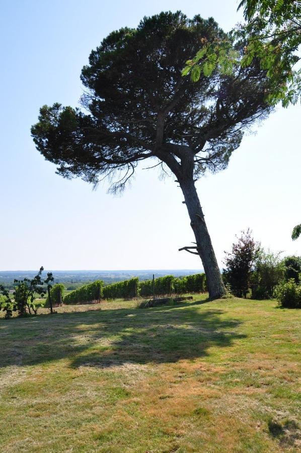 Clos Saint Sauveur - Guesthouse Au Coeur Des Vignes Sur Le Coteau Exteriér fotografie